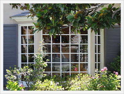 Window Image