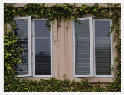 Window Image