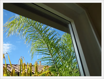 Window Image